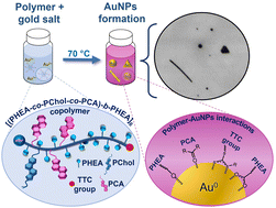 Graphical abstract: Self-assembled PHEA-based block copolymers for the synthesis of gold nanoparticles