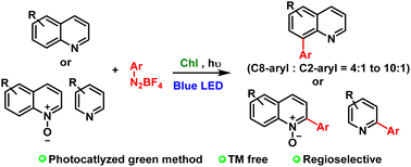 Graphical abstract: Visible light-mediated direct C8–H arylation of quinolines and C2–H arylation of quinoline-N-oxides and pyridines under organic photocatalysis