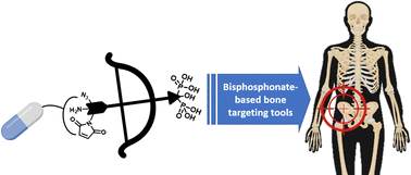 Graphical abstract: Synthesis of new alendronate analogs for bone-targeted drug delivery strategies