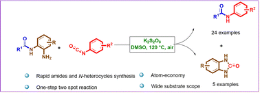 Graphical abstract: PhNCO-enabled synthesis of secondary amides from N-(2-aminophenyl)benzamides