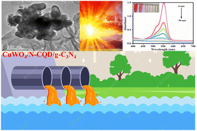 Graphical abstract: Boosting the photodegradation of rhodamine B with the CuWO4/g-C3N4 heterojunction by introducing biomass derived N-CQDs as an electron mediator: mechanism and DFT calculations
