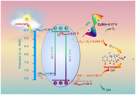 Graphical abstract: Plasmon Bi/BiFeO3 heterojunctions for achieving optimized photothermal-photocatalytic performance