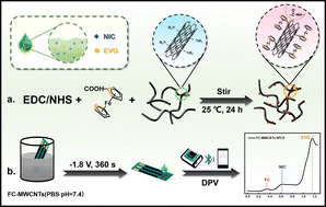Graphical abstract: A smart portable electrochemical sensor based on electrodeposited ferrocene-functionalized multiwalled carbon nanotubes for in vitro and in vivo detection of nicotine in tobacco samples