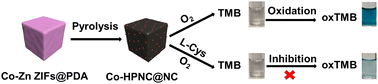 Graphical abstract: Polydopamine-coated bimetallic ZIF derivatives as a H2O2-free oxidase mimetic for the colorimetric sensing of l-cysteine