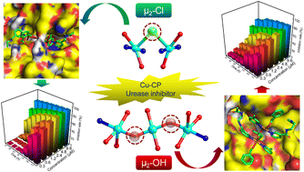 Graphical abstract: Influence of bridging atoms in copper-based coordination polymers for enhancing urease inhibition activity