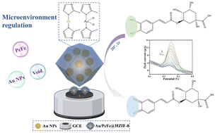 Graphical abstract: Ingenious microenvironment regulation of a metal–organic framework (MOF) nanoreactor for electrochemical detection of chlorogenic acid