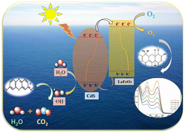 Graphical abstract: La/Fe bimetallic MOF-derived p-LaFeO3/n-CdS heterojunction: efficient photocatalytic degradation of organic contaminants and adsorption isotherms