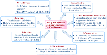 Graphical abstract: Selenium compounds as promising antiviral agents