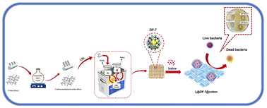 Graphical abstract: Iodine-loaded ZIF-7-coated cotton substrates show sustained iodine release as effective antibacterial textiles