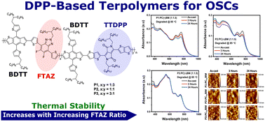 Graphical abstract: Unveiling the thermal stability of diketopyrrolopyrrole-based terpolymers: a key element for enhanced efficiency and stability of organic solar cells