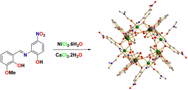 Graphical abstract: Quadruple bridged-carbonate supported dodecanuclear [Ni8Ca4] coordination cluster