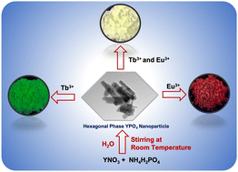 Graphical abstract: Room temperature synthesis of highly luminescent Eu3+ and Tb3+-doped hexagonal-phase YPO4 nanoparticles with tunable emission