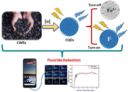 Graphical abstract: Detection of fluoride ions using carbon quantum dots derived from coal washery rejects via an on–off–on fluorescence mechanism: a smartphone-based image-processing and machine learning approach