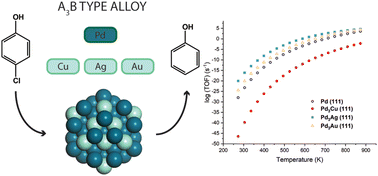 Graphical abstract: Rational design of bimetallic alloys for effective hydrodechlorination of 4-chlorophenol