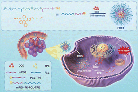 Graphical abstract: ROS-responsive polymeric micelles with aggregation-induced emission effects for drug delivery and cellular imaging