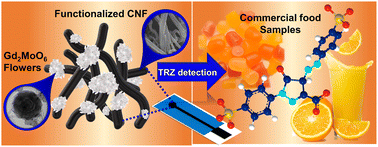 Graphical abstract: A disposable tartrazine sensor fabricated with a synchronously activated nanocomposite comprising gadolinium molybdate nanoflowers anchored on functionalized carbon nanofibers