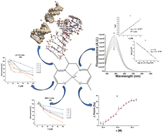Graphical abstract: Promising in vitro and in silico biological activity of tetradentate Schiff base copper(ii) complexes with a propylenediamine bridge