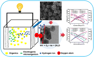 Graphical abstract: Nanopolyhedral Zn/Fe-NC derived from bimetallic zeolitic imidazole frameworks as an efficient catalyst for the oxygen reduction reaction in an air-cathode microbial fuel cell