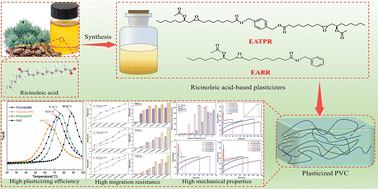 Graphical abstract: Novel environmentally sustainable plasticizers based on ricinoleic acid for polyvinyl chloride: structure and properties