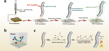 Graphical abstract: A self-cleaning polyacrylonitrile fiber membrane modified by photocatalytic nanoparticles and zwitterionic polymer brushes for oil/water separation