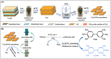 Graphical abstract: Facile preparation of V2C@VOx nanosheets with excellent multi-enzyme activity and their colorimetric sensing application