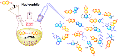 Graphical abstract: Recent advances in iodine–DMSO mediated C(sp3)–H functionalization of methyl-azaarenes via Kornblum oxidation