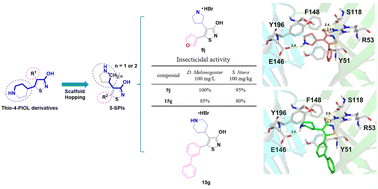 Graphical abstract: Design and synthesis of novel insecticidal 3-isothiazolols as potential antagonists of insect GABA receptors