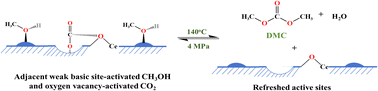 Graphical abstract: Characterization of alkaline earth metal-doped CeO2 nanocatalysts and their catalytic activities in the synthesis of dimethyl carbonate through a reaction between methanol and CO2