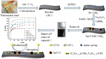Graphical abstract: Preparation of an amino-modified biochar supported sulfide nanoscale zero-valent iron composite and its efficient removal of U(vi) from wastewater by adsorption and reduction