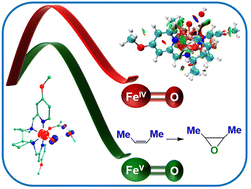 Graphical abstract: Mechanistic insights on the epoxidation of alkenes by high-valent non-heme Fe(iv) and Fe(v) oxidants: a comparative theoretical study