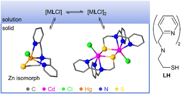 Graphical abstract: Aggregation behavior of group 12 complexes of a tripodal mixed NS(thiolato) donor ligand