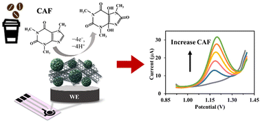 Graphical abstract: A disposable electrochemical caffeine sensor based on a screen-printed electrode modified with a copper-metal organic framework and functionalized multi-walled carbon nanotube nanocomposite