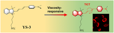 Graphical abstract: A viscosity-sensitive probe based on the structure of indole salt