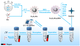 Graphical abstract: Humic acid-based biomass-derived magnetic nanocomposites modified by a deep eutectic solvent for the efficient adsorption of trypsin