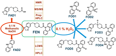 Graphical abstract: Isolation and characterization of novel degradation products in fenoverine by LC-QTOF-MS/MS, LC-MSn and 2D-NMR