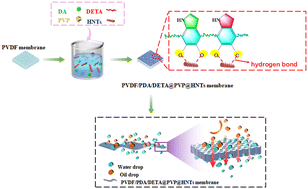 Graphical abstract: Preparation of a PVDF–PDA–DETA@PVP@HNT membrane for high efficiency oil–water emulsion separation