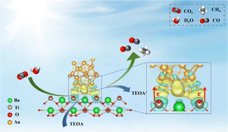 Graphical abstract: Plasmonic Au nanoparticles enhance the photogenerated electron efficiency for carbon dioxide photoreduction