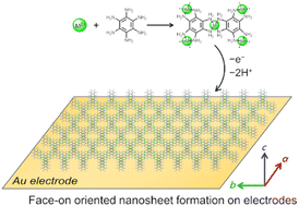 Graphical abstract: Face-on-oriented formation of bis(diimino)metal coordination nanosheets on gold electrodes by electrochemical oxidation