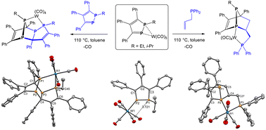 Graphical abstract: Synthesis of P,P-bidentate caged phosphines via tungsten pentacarbonyl-promoted cycloaddition reactions of 1-alkyl-1,2-diphospholes