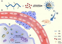 Graphical abstract: Reduction-responsive and tumor-targeted polyprodrug nanocarriers for targeting therapy of hepatocellular carcinoma