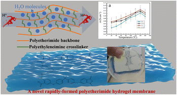 Graphical abstract: A novel polyetherimide hydrogel proton exchange membrane
