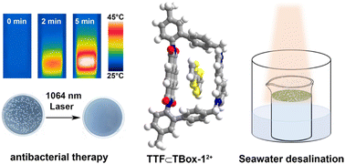 Graphical abstract: A cyclophane-based host–guest charge transfer complex for NIR-II photothermal conversion