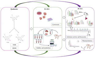 Graphical abstract: Structural optimization of icaritin for advanced cancer: novel carbamates via oral administration
