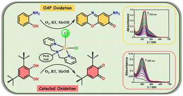 Graphical abstract: Tailored design, synthesis, and catalytic aspects of mononuclear cis-dichloro copper(ii) complexes with simple DPA-derived tridentate ligands and their biomimicking activities