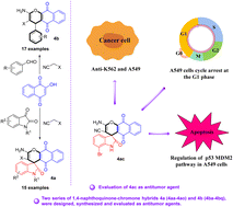 Graphical abstract: Design, synthesis, and evaluation of 1,4-naphthoquinone-chromene hybrids as potential anti-K562 and A549 agents