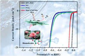 Graphical abstract: Molybdenum phosphide nanoparticles encapsulated with biomolecule-derived N, P-codoped carbon nanosheets for the synergistic hydrogen evolution reaction