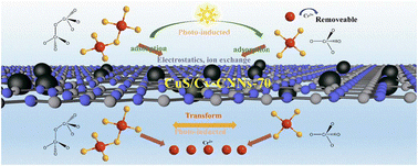 Graphical abstract: Synergistic purification of chromium-containing wastewater via adsorption-photocatalysis induced by multiple defect-containing CuS/Cv-CNNs
