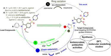 Graphical abstract: Tailoring of novel morpholine-sulphonamide linked thiazole moieties as dual targeting DHFR/DNA gyrase inhibitors: synthesis, antimicrobial and antibiofilm activities, and DFT with molecular modelling studies