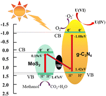Graphical abstract: Enhanced photocatalytic removal of U(vi) from water using tea waste biochar/g-C3N4/MoS2 Z-scheme composite: synthesis, performance, and mechanistic insights