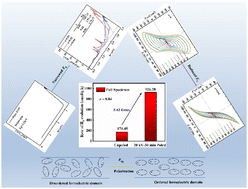 Graphical abstract: Enhanced photocatalytic hydrogen production performance of K0.5Na0.5NbO3-based ferroelectric semiconductor ceramics by Nd/Ni modification at A/B sites and polarization